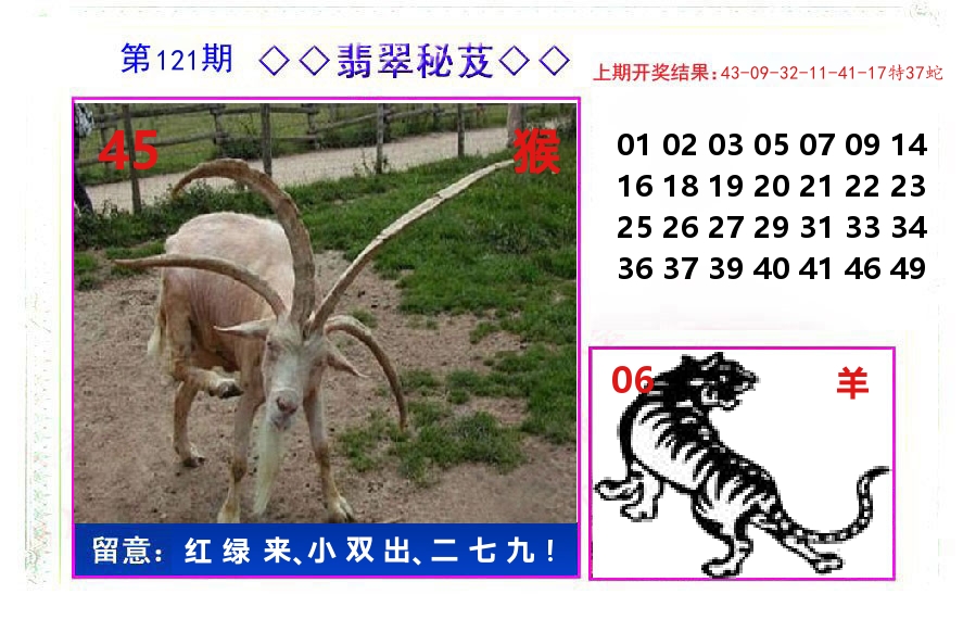 翡翠秘芨 第121期