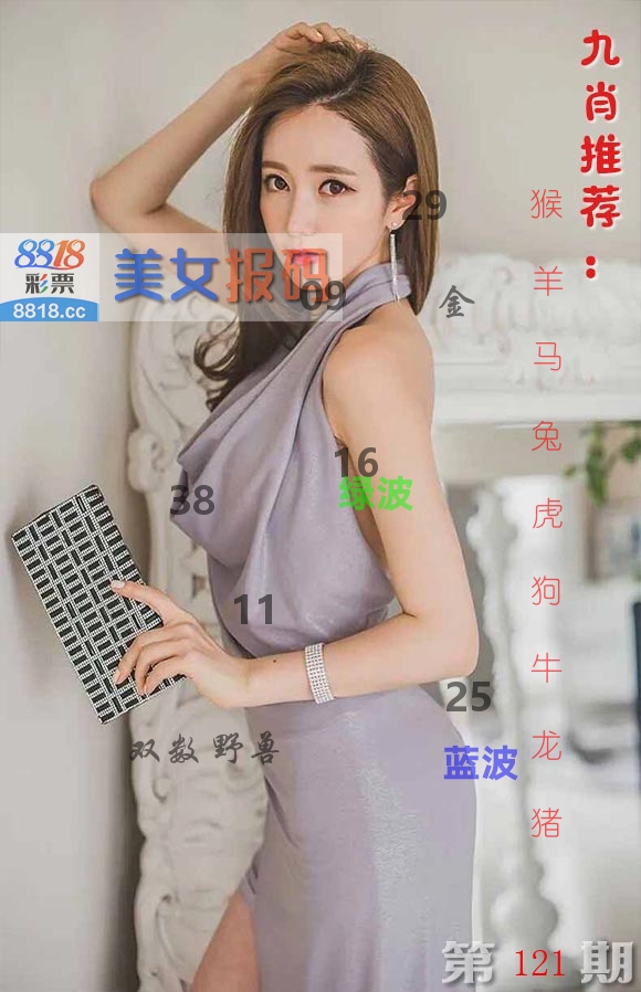 美女报码 第121期