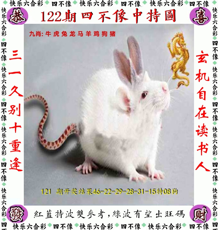 四不像 第122期