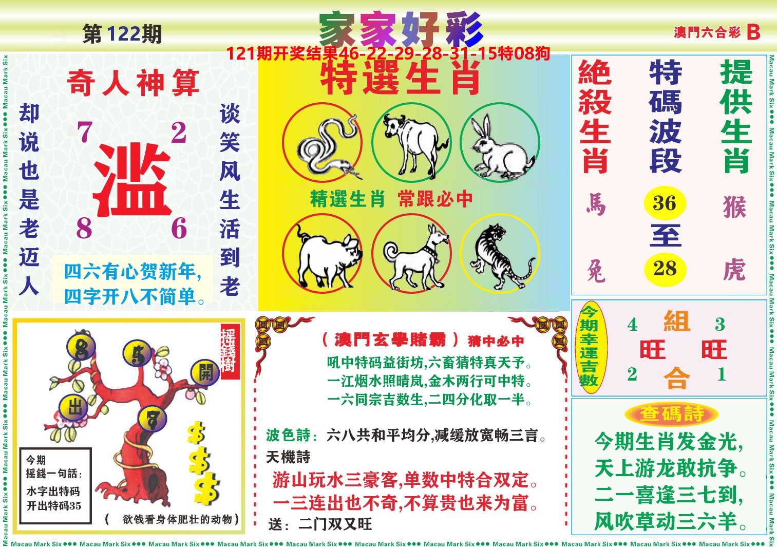 家家好彩B 第122期