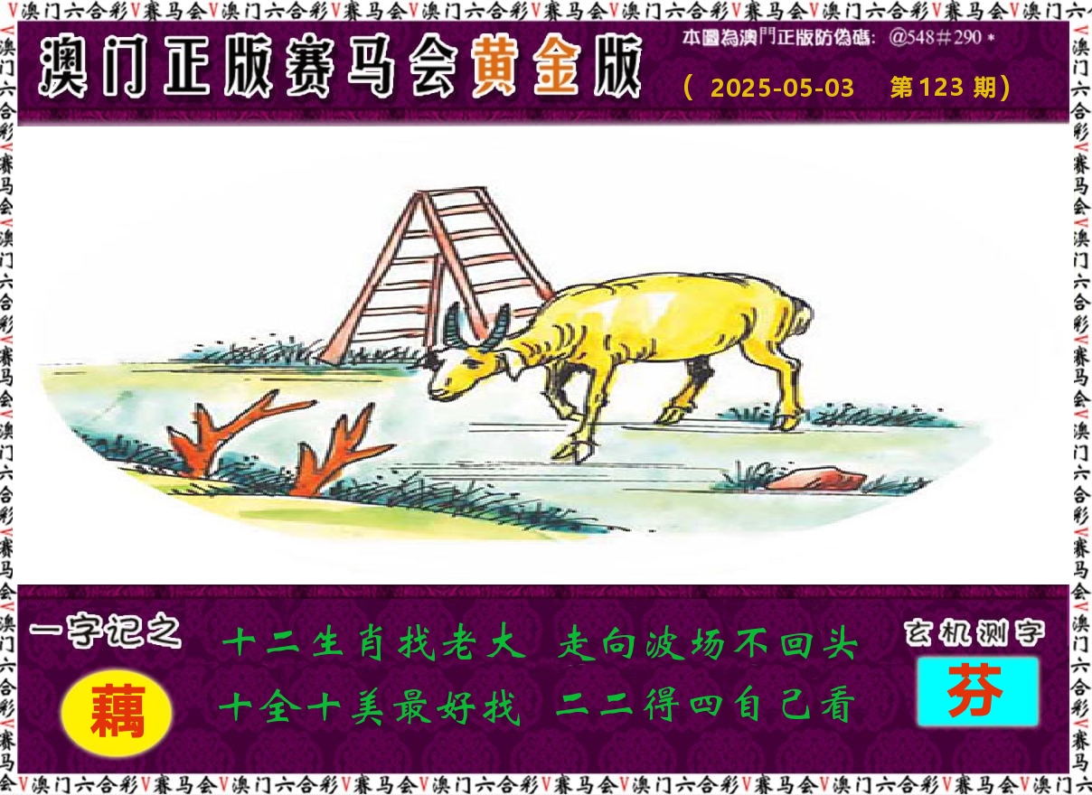 赛马会黄金版 第123期