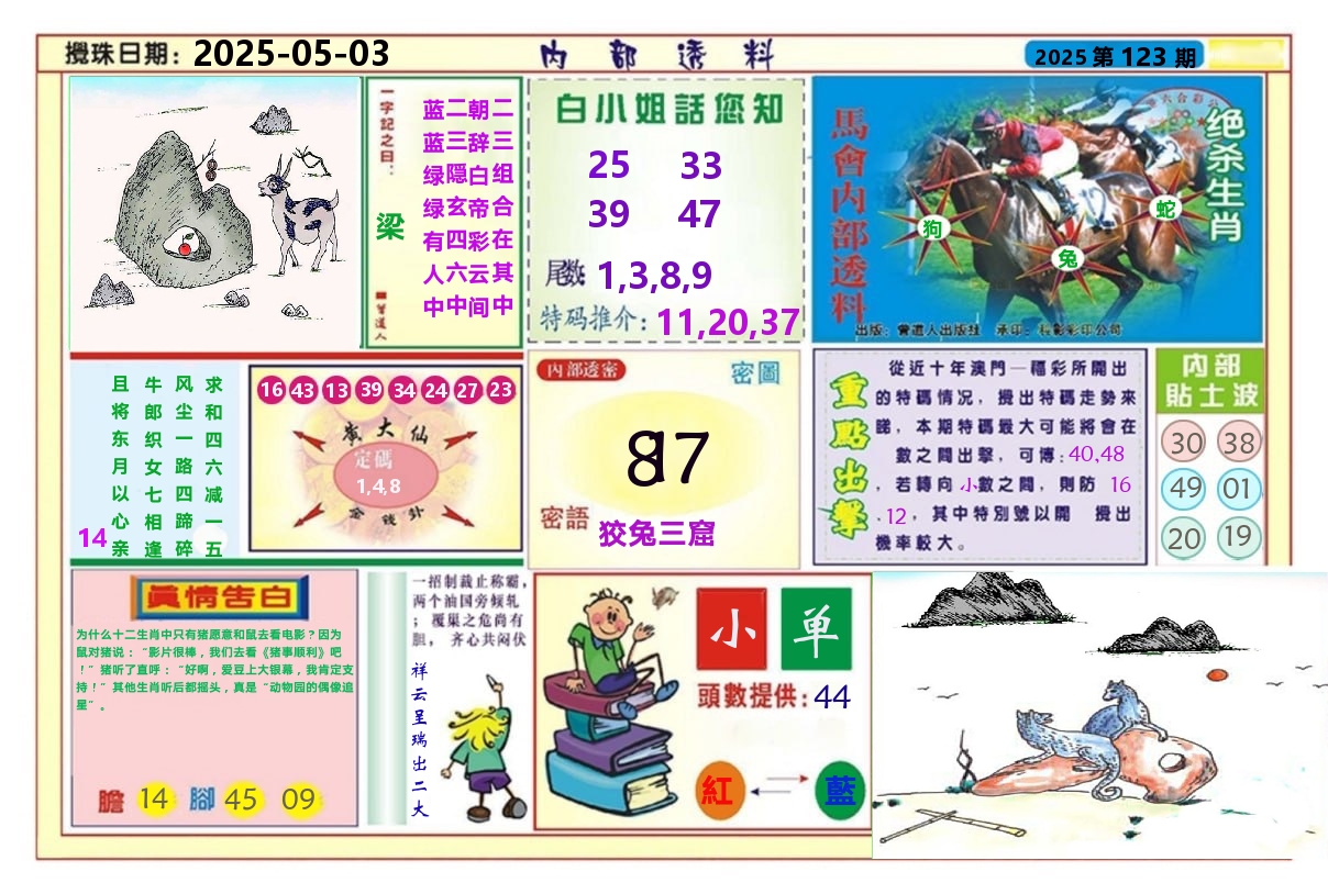 澳门内部透料A 第123期