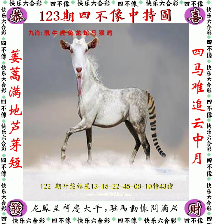 四不像 第123期