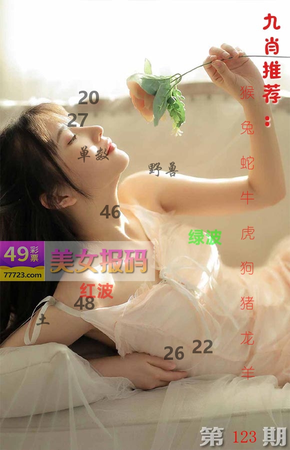 美女报码 第123期