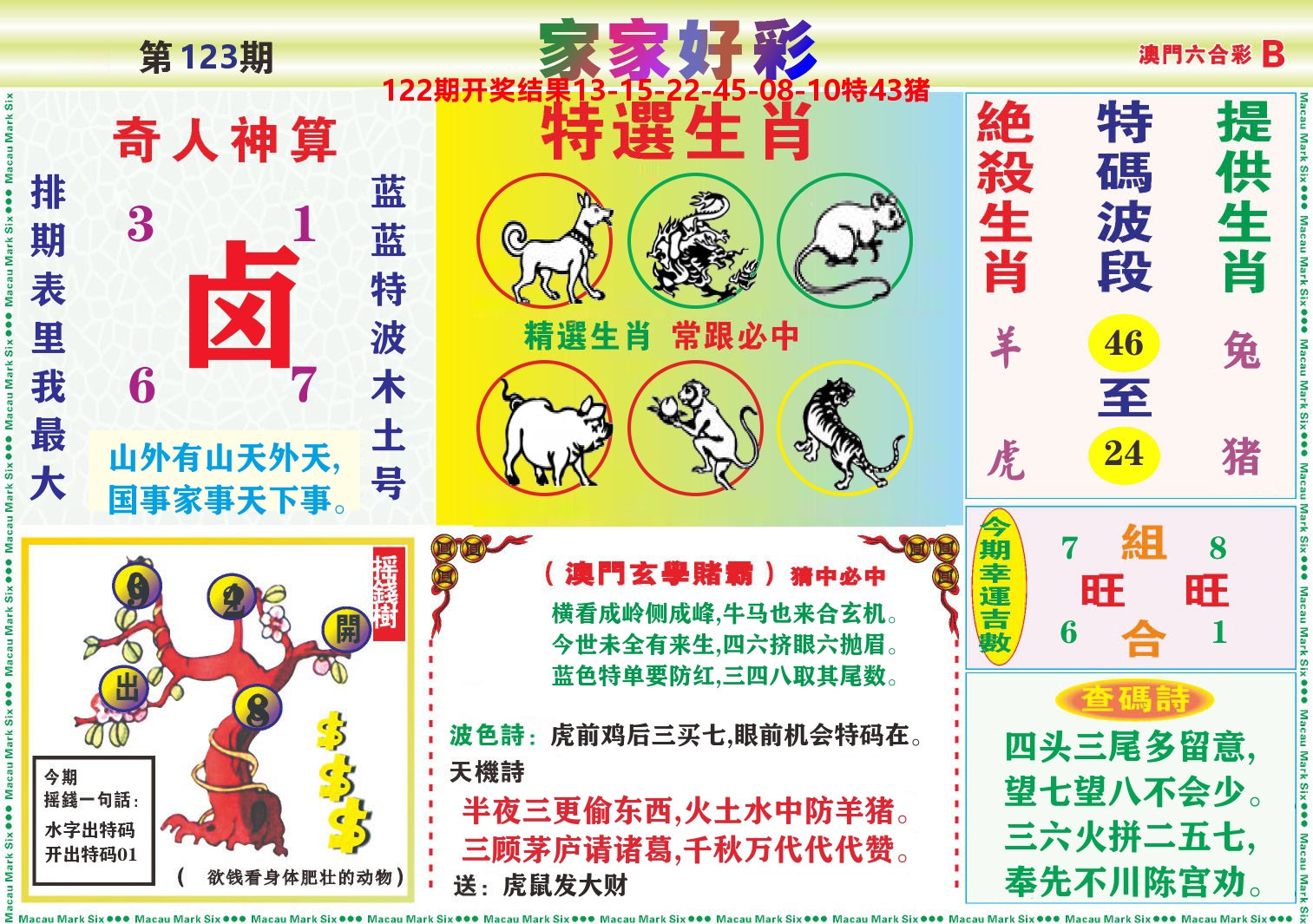 家家好彩B 第123期