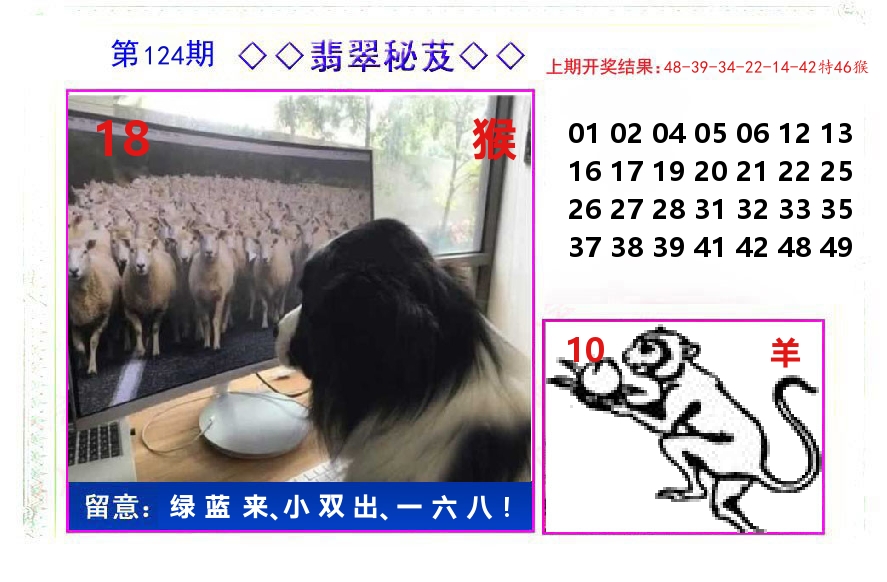 翡翠秘芨 第124期