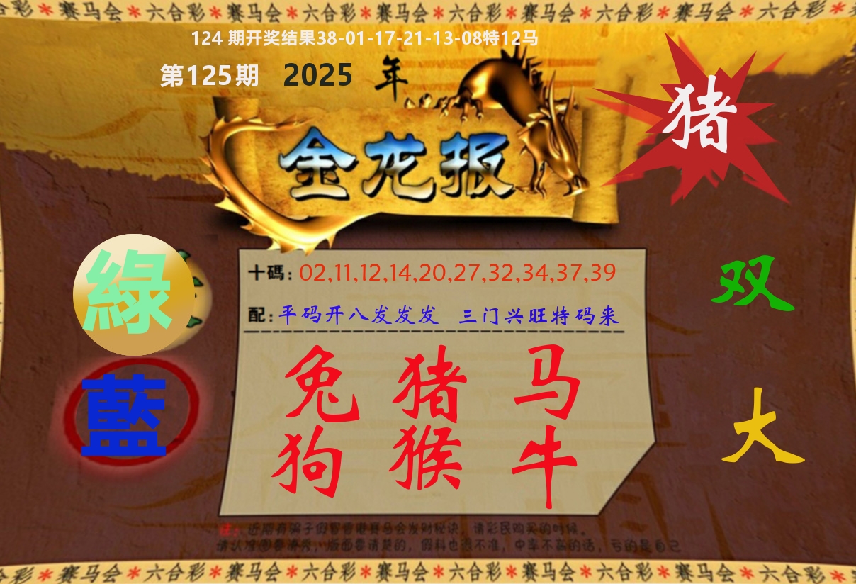 金龙报 第125期