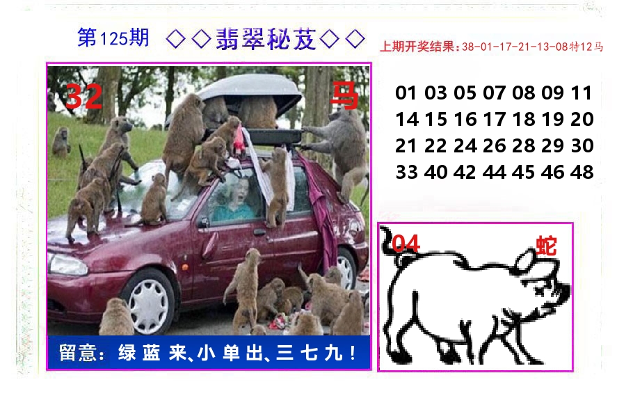 翡翠秘芨 第125期