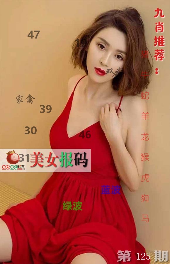 美女报码 第125期