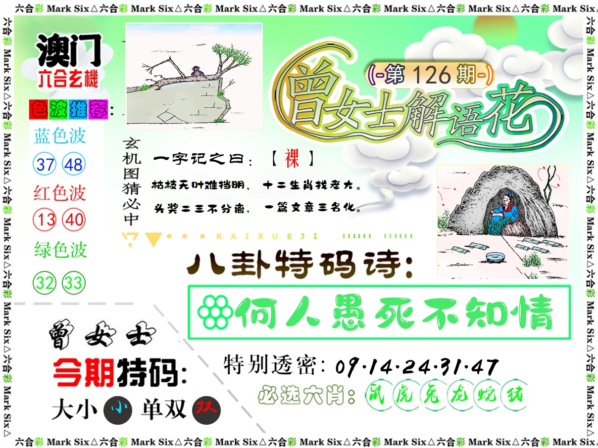 曾女士解语花 第126期