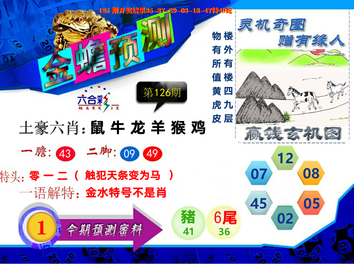 金蟾预测 第126期