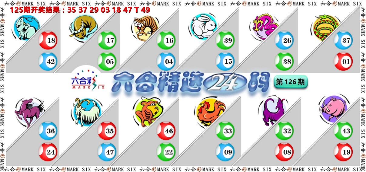 六合精选24码 第126期