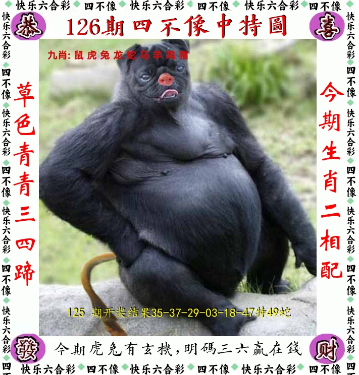 四不像 第126期