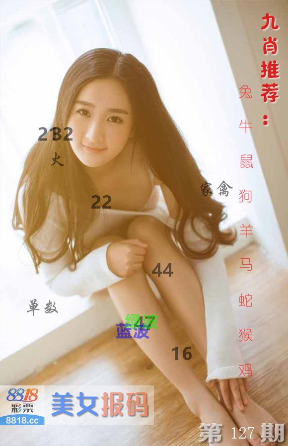 美女报码 第127期