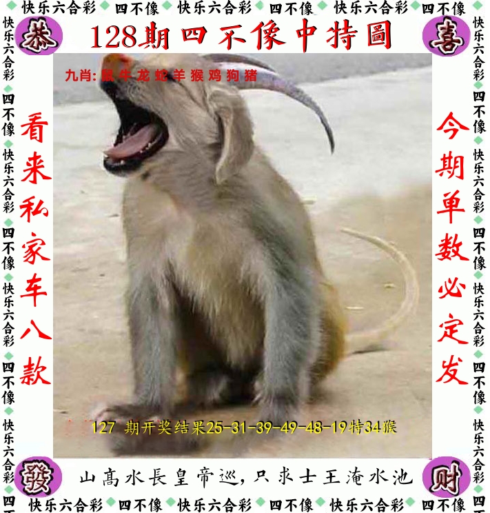 四不像 第128期
