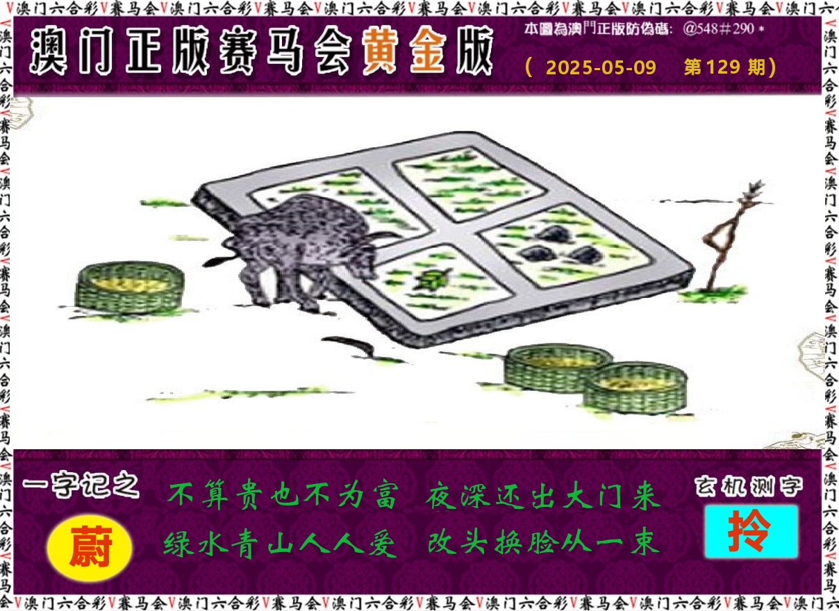 赛马会黄金版 第129期