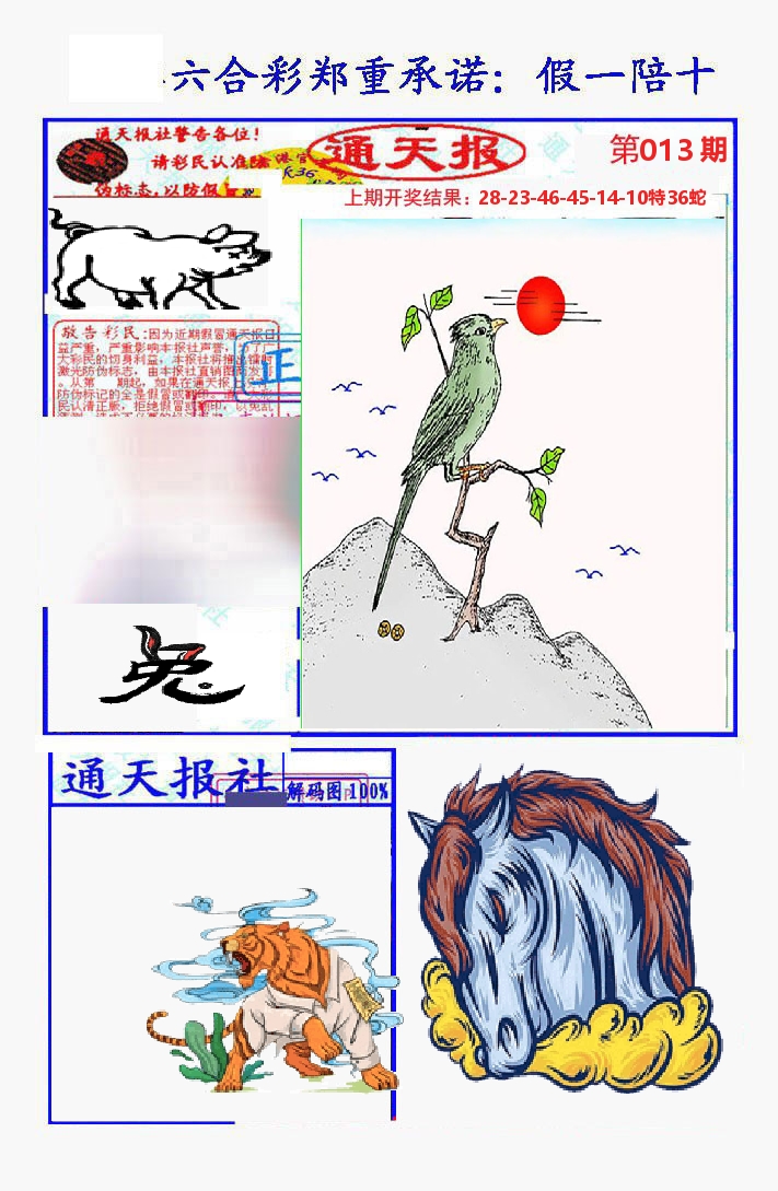 通天报 第13期