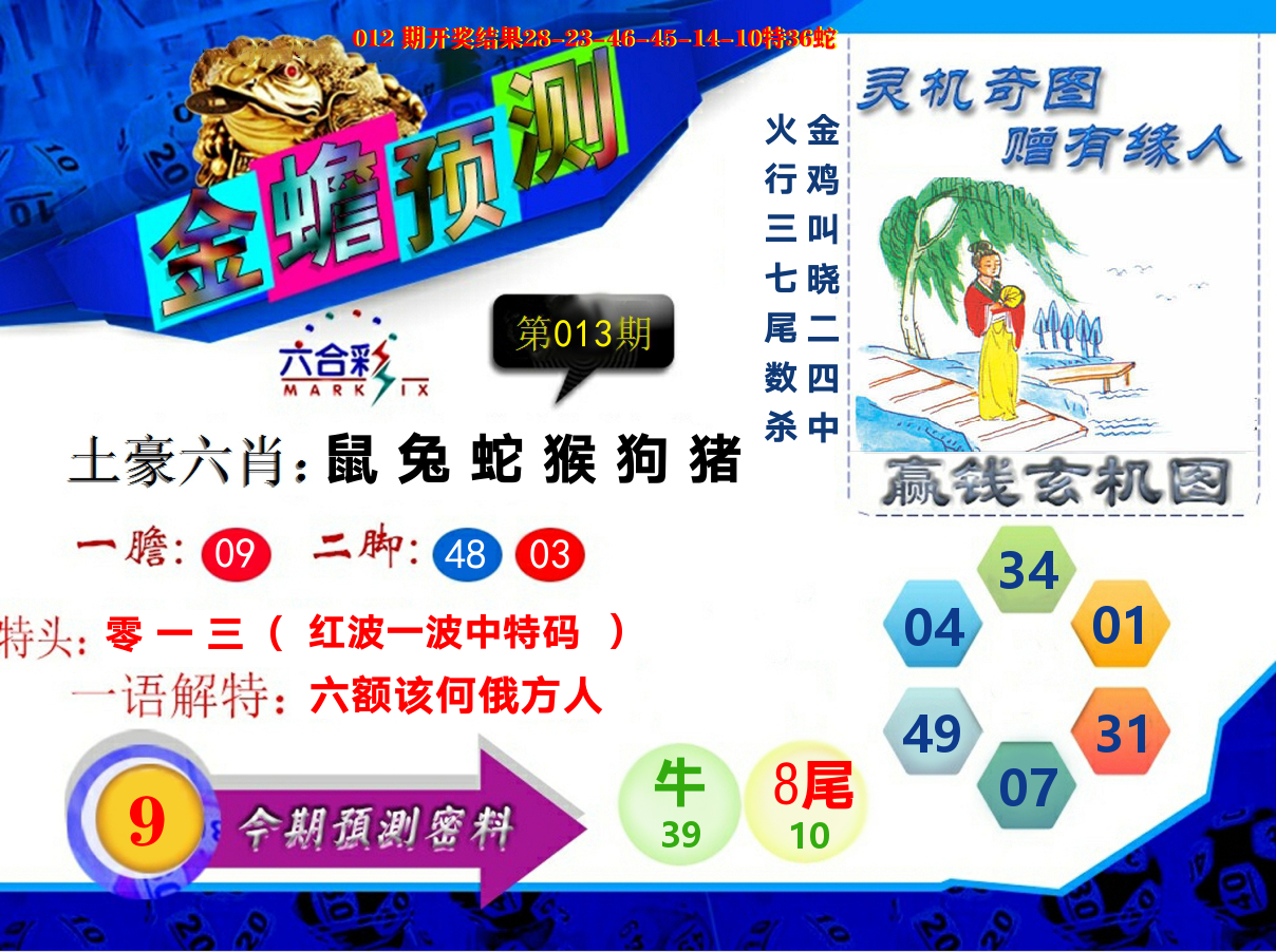 金蟾预测 第13期