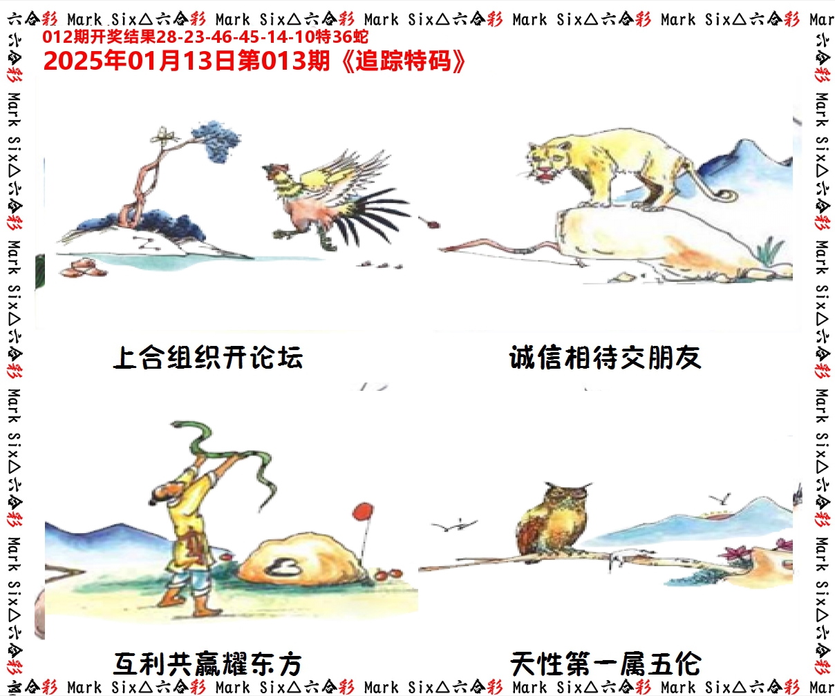 追踪特码 第13期