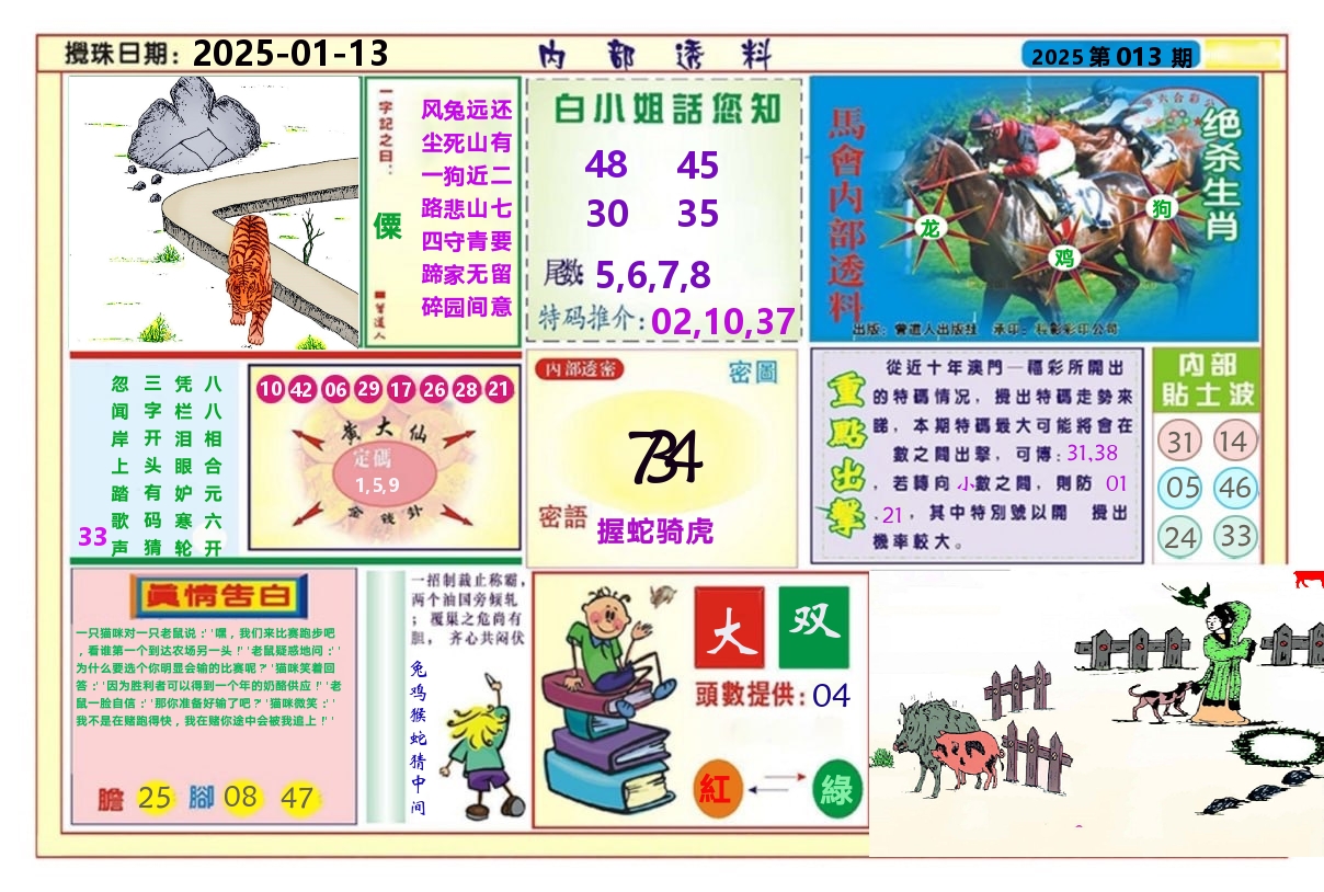 澳门内部透料A 第13期