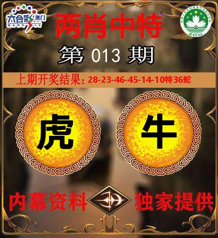 两肖中特 第13期