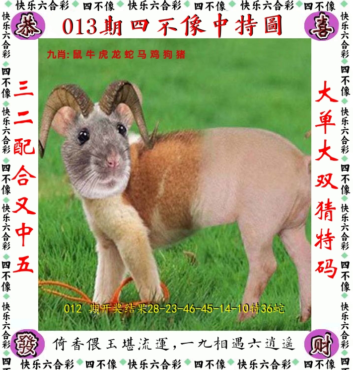 四不像 第13期