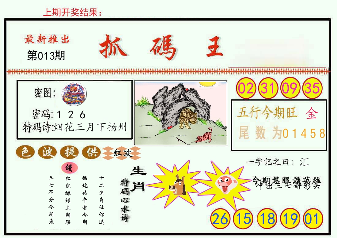 最新抓码王 第13期