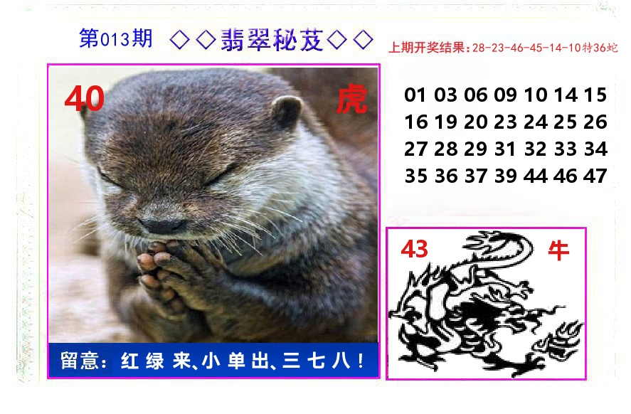 翡翠秘芨 第13期