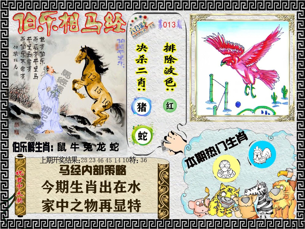 伯乐相马经 第13期