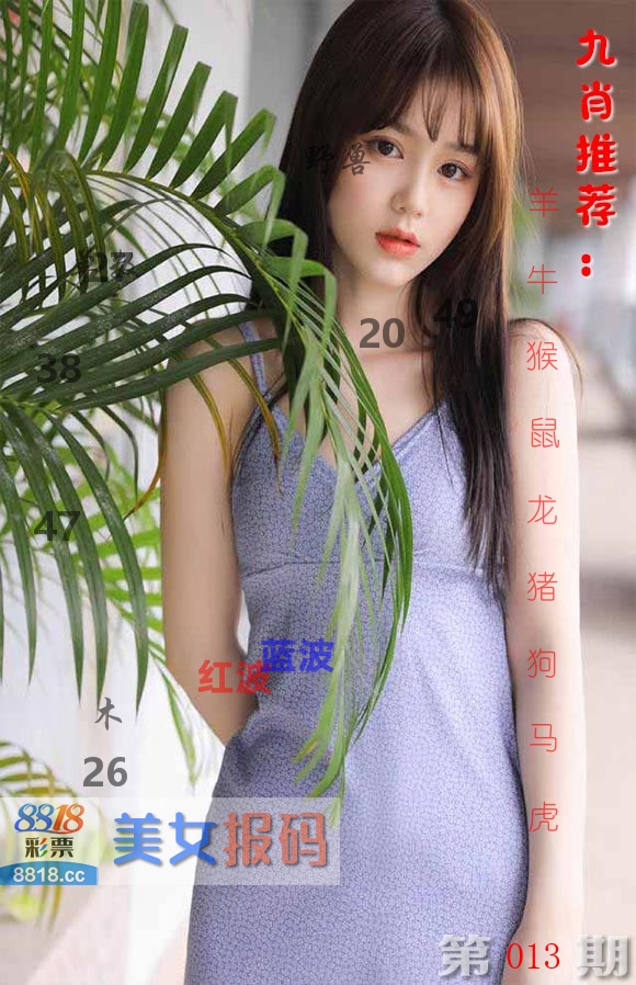 美女报码 第13期