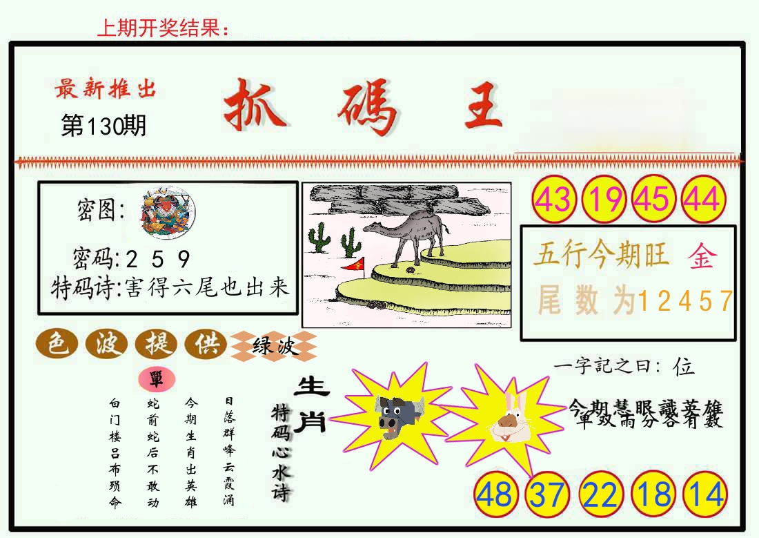 最新抓码王 第130期