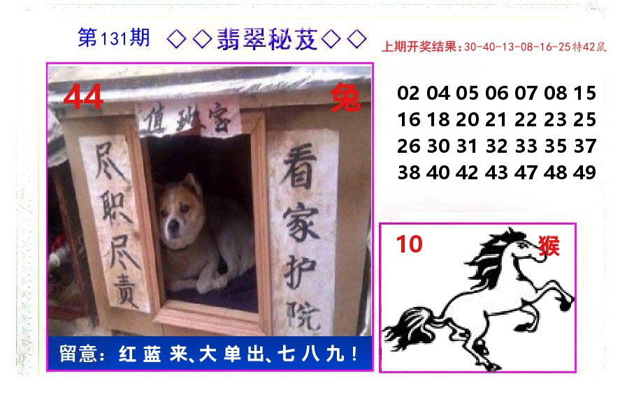 翡翠秘芨 第131期