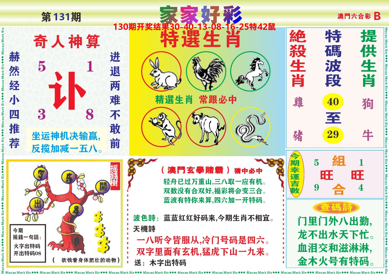 家家好彩B 第131期