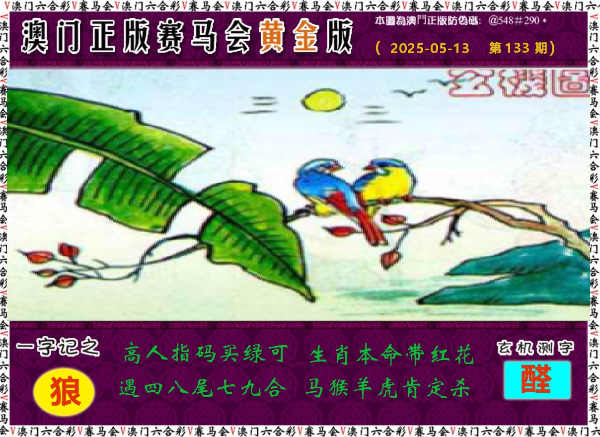赛马会黄金版 第133期