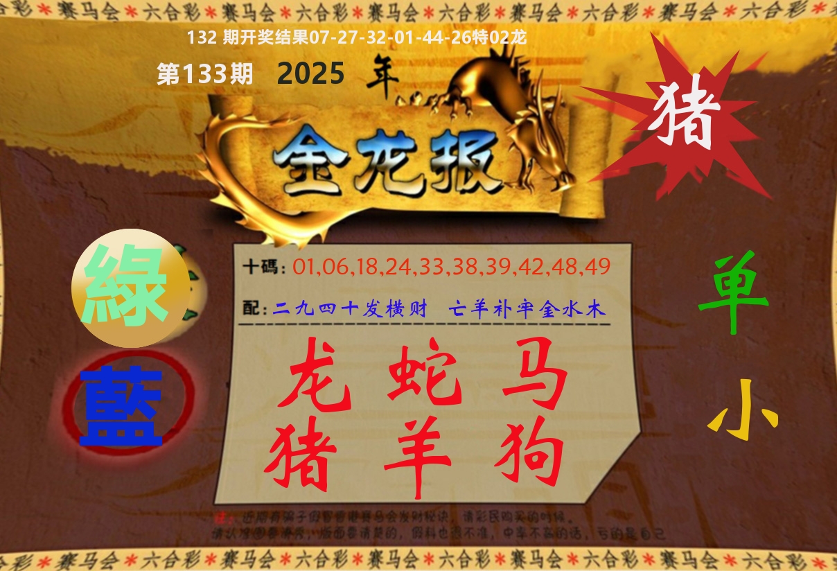 金龙报 第133期