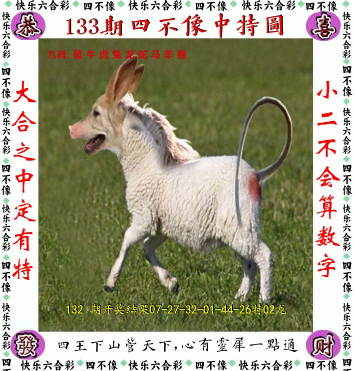 四不像 第133期
