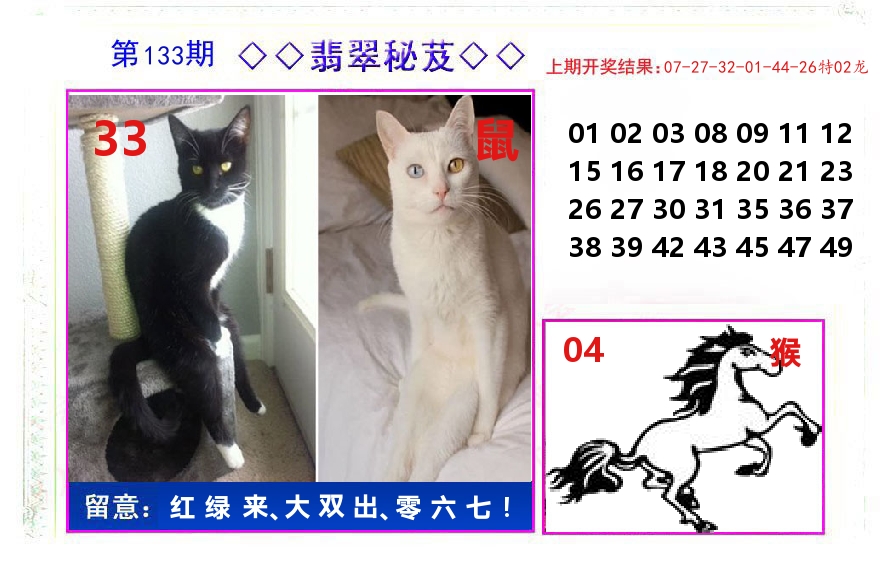 翡翠秘芨 第133期