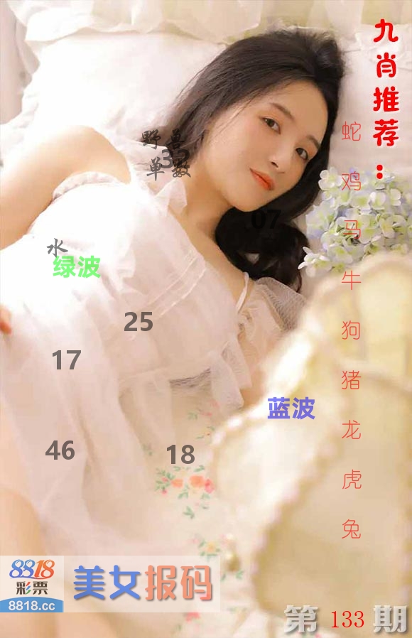 美女报码 第133期