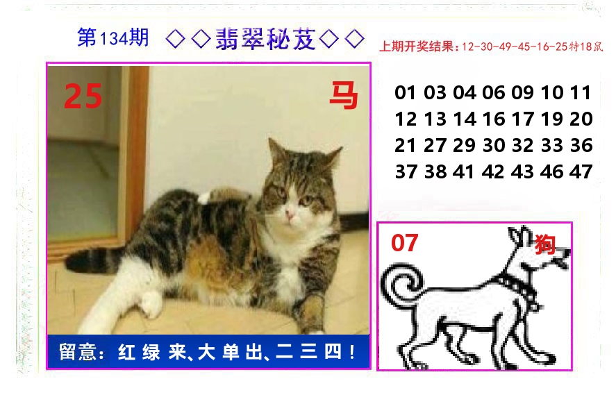 翡翠秘芨 第134期