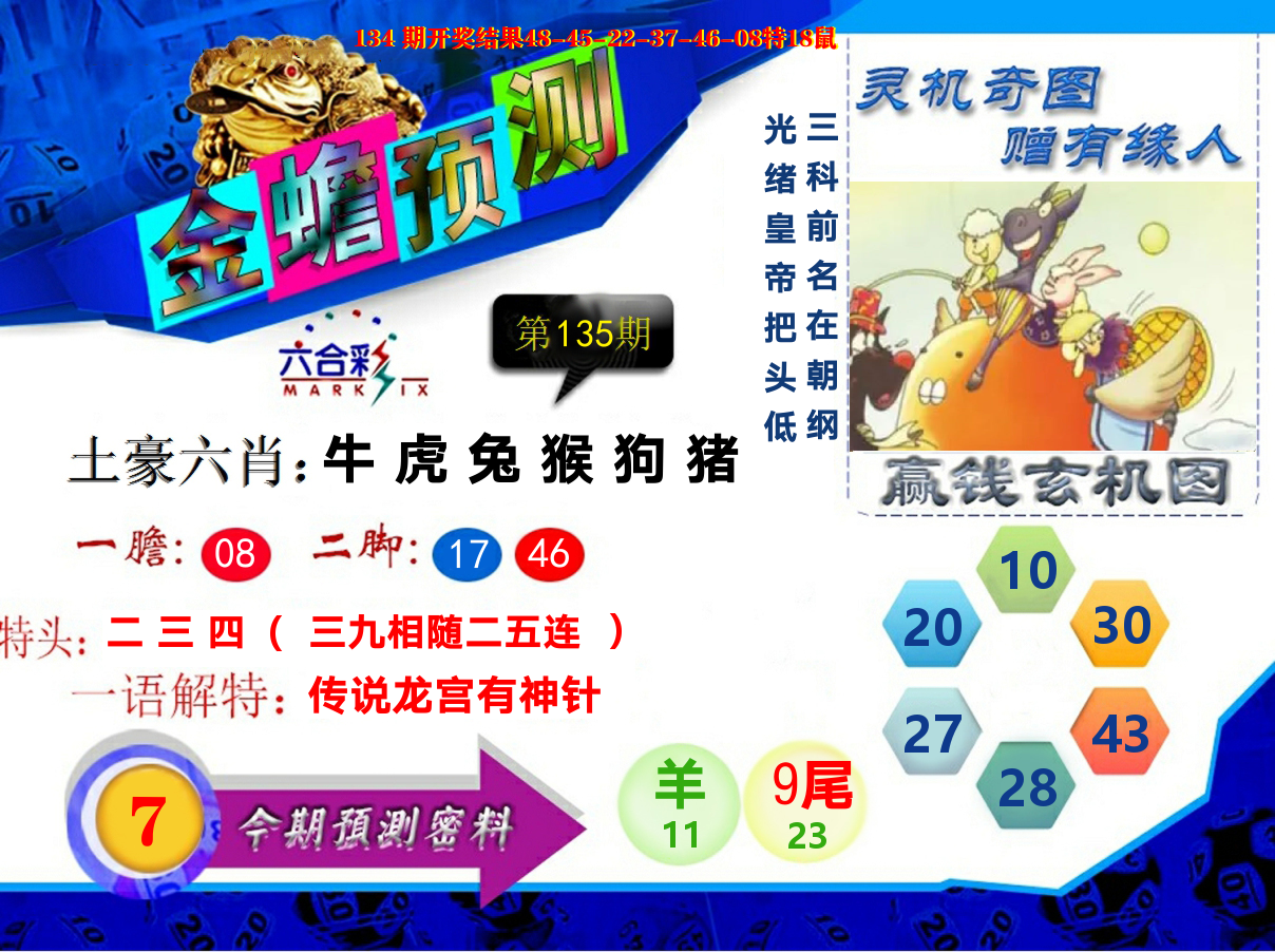 金蟾预测 第135期