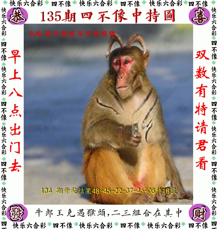 四不像 第135期