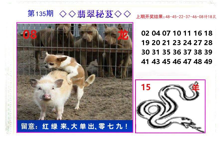翡翠秘芨 第135期