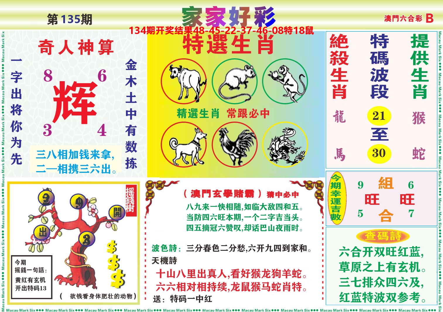 家家好彩B 第135期