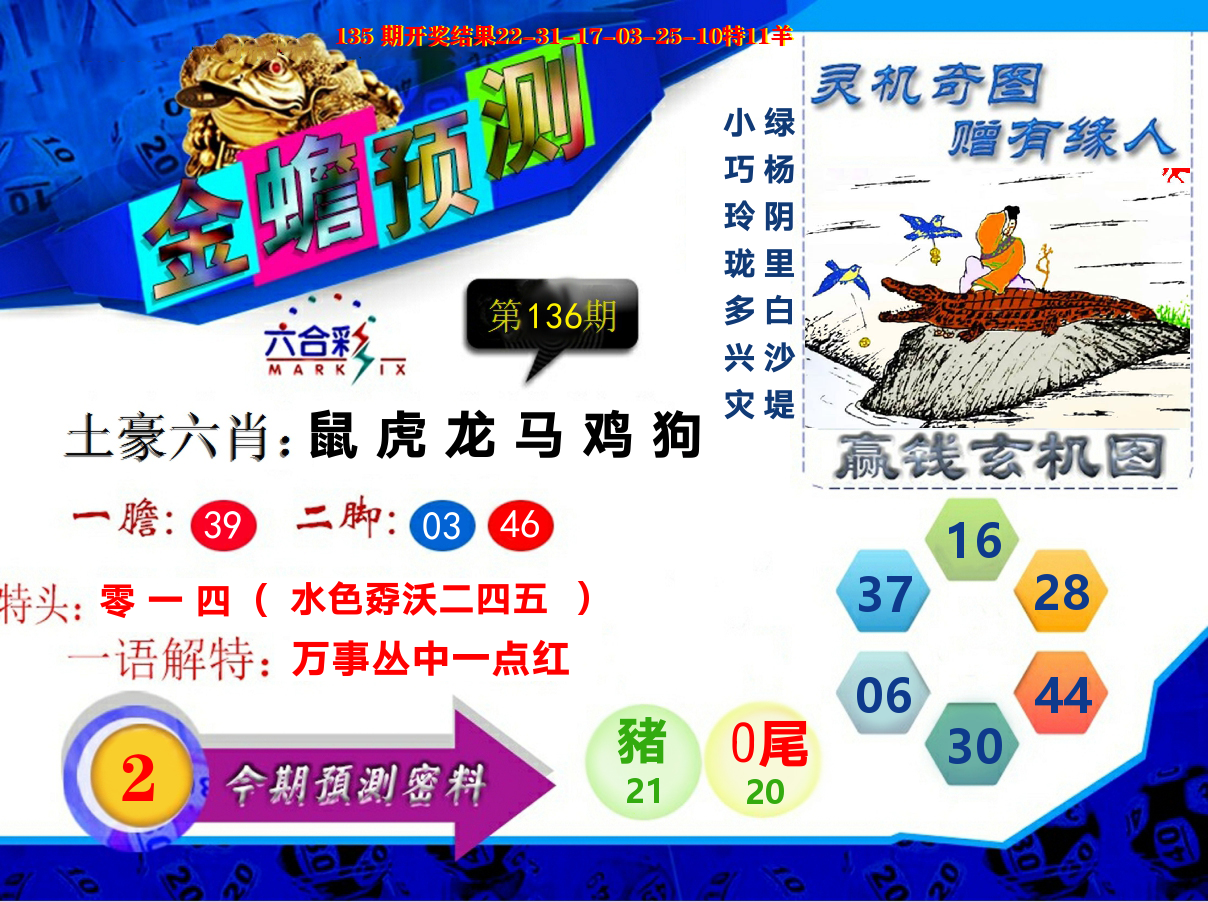 金蟾预测 第136期