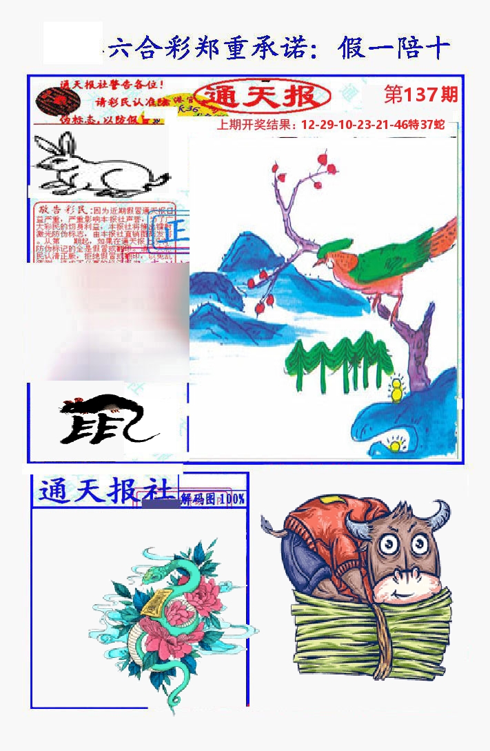 通天报 第137期