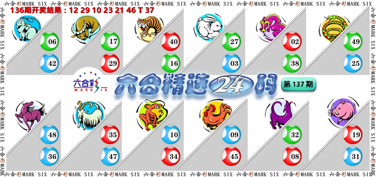六合精选24码 第137期