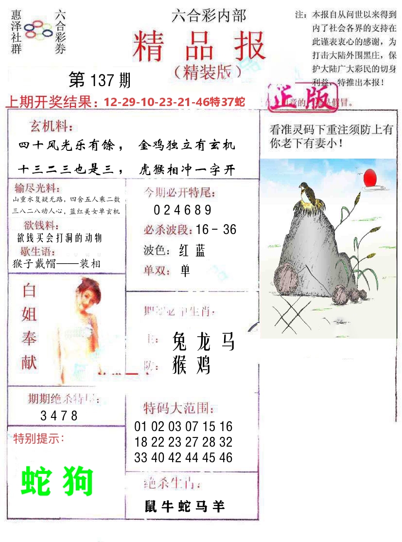 精品报 第137期