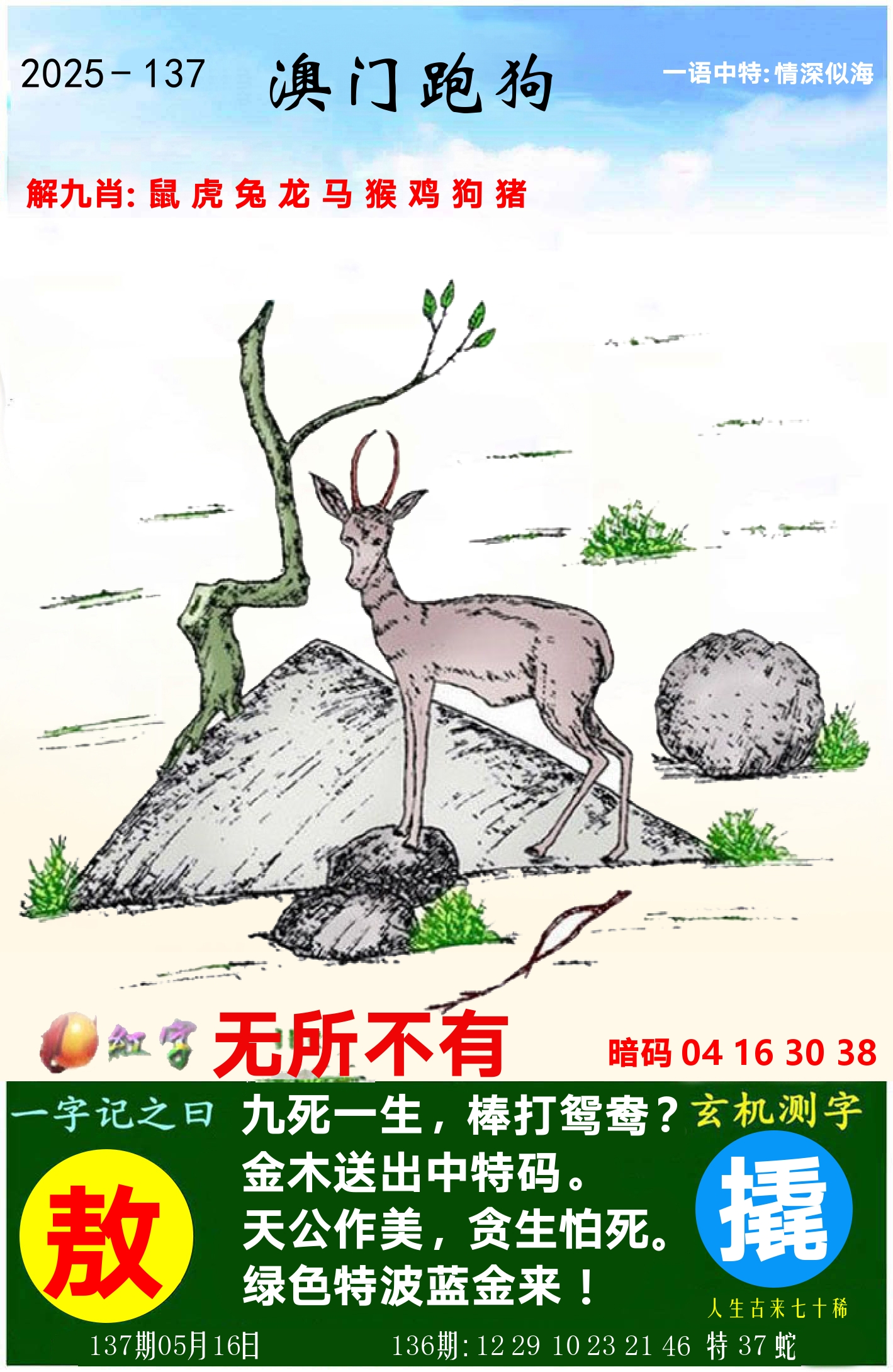 澳门跑狗图 第137期