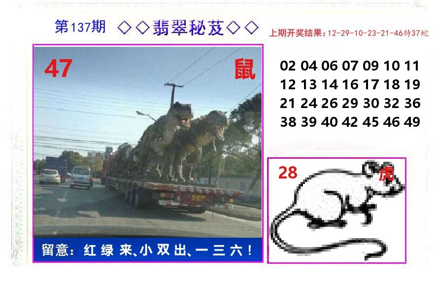 翡翠秘芨 第137期