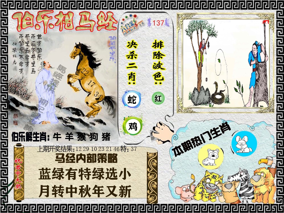 伯乐相马经 第137期